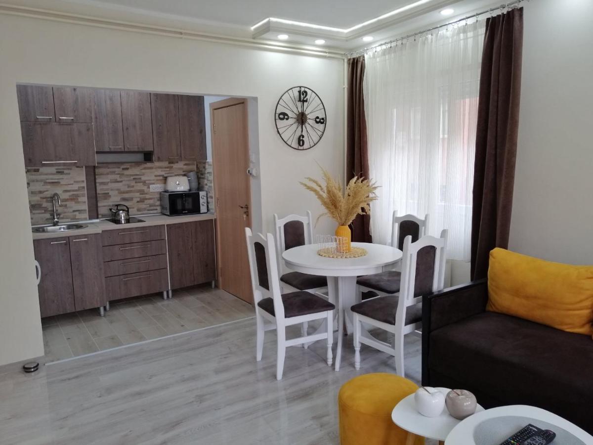 Ferienwohnung Apartman Zi-Zo Vrsac Exterior foto